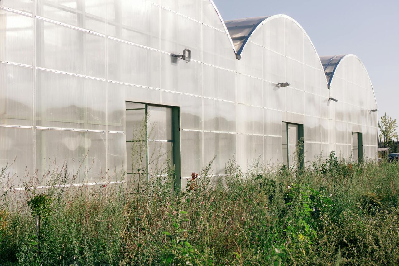 estufa de policarbonato